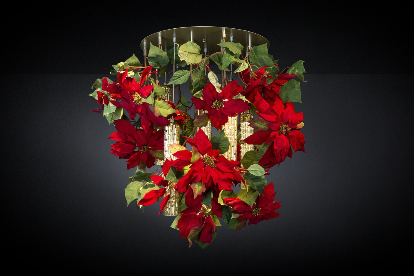 1639581016-8880521.84 -FP POINSETTIA__PAP4002